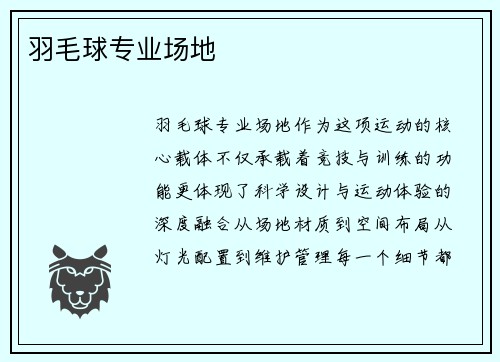 羽毛球专业场地
