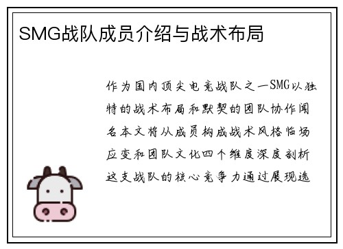 SMG战队成员介绍与战术布局